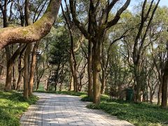-杭州植物园