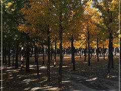 -古塔公园