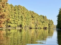 -上海海湾国家森林公园