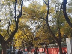 -北京国子监胡同
