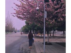 -成都中医药大学(温江校区)
