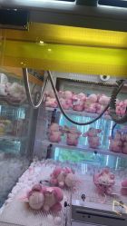 -卡通尼乐园(龙湖六合天街店)