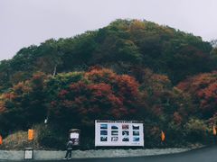 -天女山森林公园