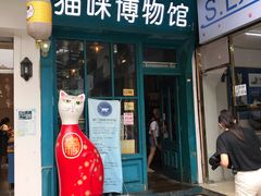 -猫咪博物馆(顶澳仔猫街店)