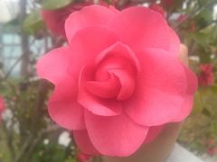 -白塘生态植物园