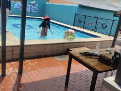 -趣玩宠物乐园寄养训犬训狗游泳池