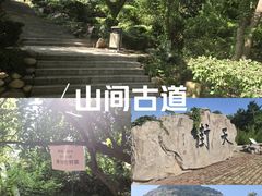 -石老人观光园
