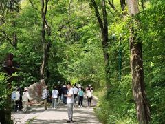 -皇藏峪国家森林公园