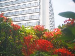 -香港大学