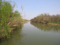 -溱湖国家湿地公园