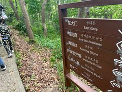 -上海佘山国家森林公园天马山园