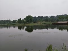 -东郊湿地公园