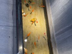 -邵汇大虾火锅(鲁迅路店)
