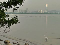 -深圳湾公园(南山区)