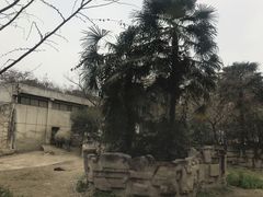 -成都动物园
