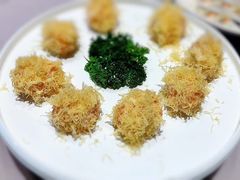 -丁老爷子苏香圆