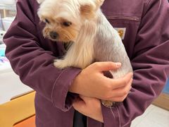 -FAELING PETS美天灵宠物(富力广场店)