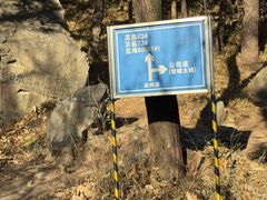 -阳台山自然风景区