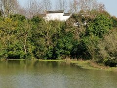 -上海海湾国家森林公园