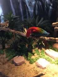 -酷嗒动物文化乐园(cutezoo西溪乐天城店)