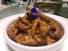 -田园居·佳宴(桑田路店)