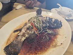 -锦粤宫·精致粤菜(深圳北站店)