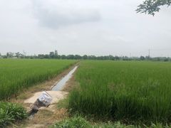 -嘉北郊野公园