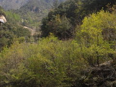 -大明山自然探索公园