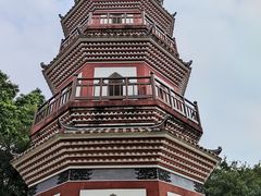 -中山公园(石岐街道)
