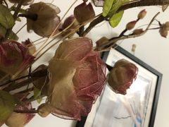 -月星家居(南京卡子门店)