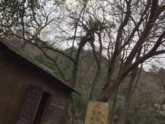 -雨花胜境
