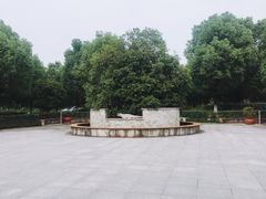 -中国扬子鳄村
