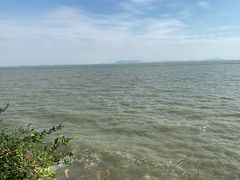 -贡湖湾湿地公园
