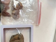 -房山世界地质公园博物馆