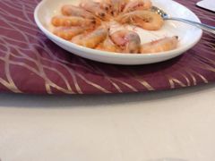 -欢乐海岸美食联盟