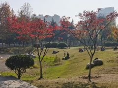 -后襄河公园