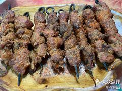 -宝山一号馕坑肉