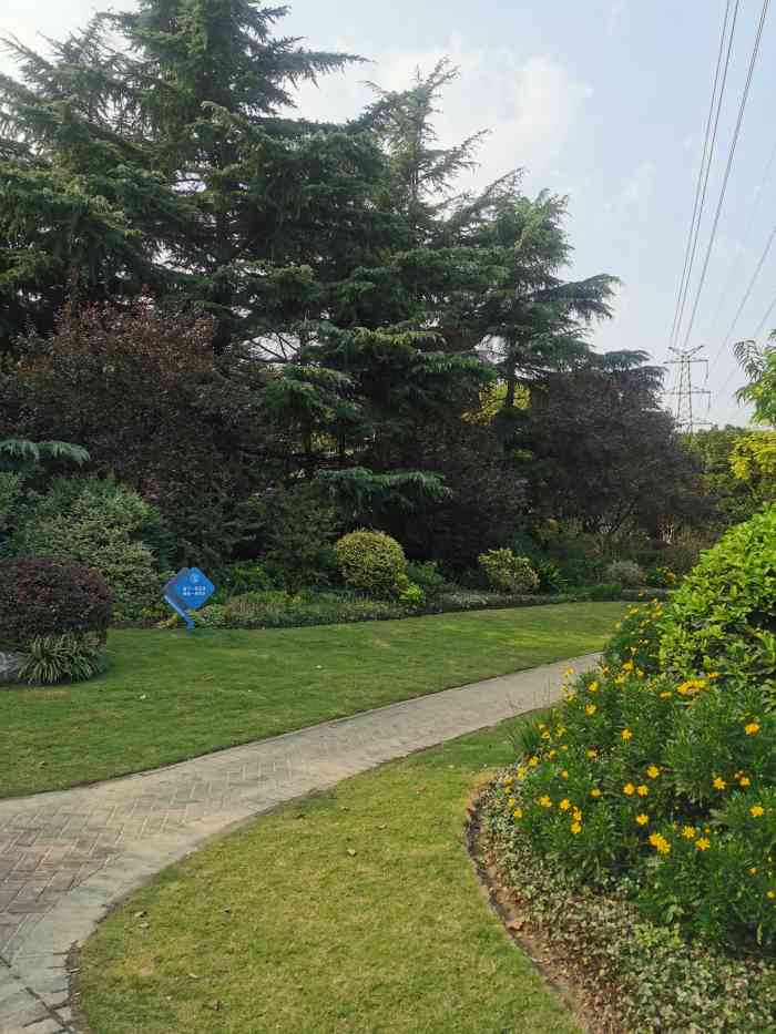 泗塘公园-"公园是免费的,很多老人在做休闲活动,比如.