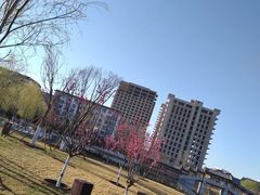 -西海子公园