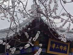 -桃花堤公园