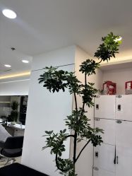 -HaLo hair studio