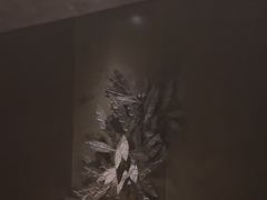-Love Story爱情故事·养生SPA会所(星都店)