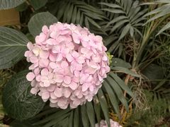 -沈阳植物园
