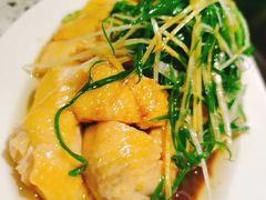葱油嫩鸡-熠盛粤味(永康路店)