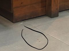 -红满天烧烤(怡馨家园店)