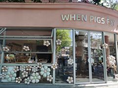 -WHEN PIGS FLY当猪飞