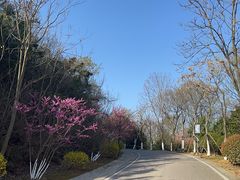 -羊山湖公园