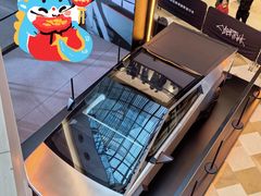 -TESLA 特斯拉(上海太古汇体验店)