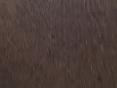 -利强记北角鸡蛋仔(弥敦道店 )