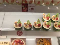 -蒲公英(五里店)